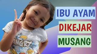 Video voorbeeld van "IBU AYAM DIKEJAR MUSANG  -  Upin Ipin Smule"