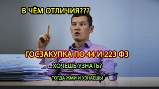 Что такое госзакупки, 44 и 223 отличия, 44 фз 223 фз, с какого ФЗ начать Что такое госзакупки, 44 и 223 отличия, 44 фз 223 фз, с какого ФЗ начать