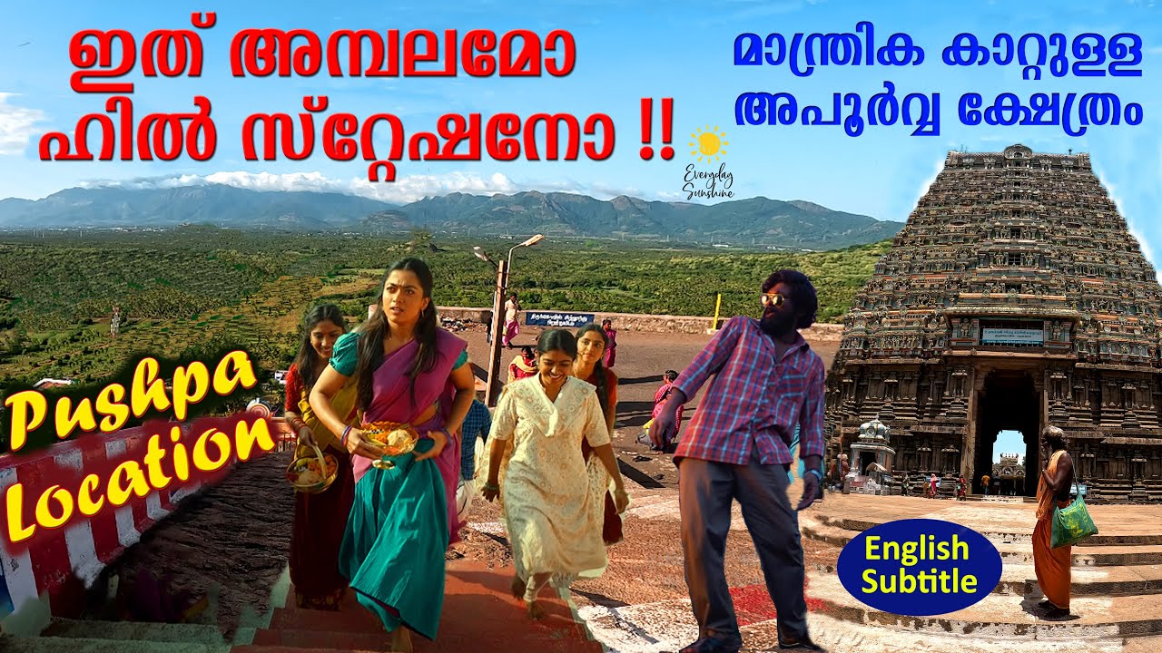 Tenkasi Thirumalai Kovil In Pushpa Movie Scenes | Kasi Viswanathar Temple To Visit In Tamil Nadu