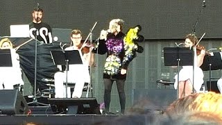 Björk at Governors Ball Music Festival 2015