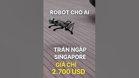 Robot Cho AI Giá Chỉ 2700 USD #ai #robot #robotviet #chiptalkglobal