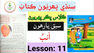 Class Pako 1 | Lesson 11 | ڪلاس پڪو پھريون | سبق يارھون #Lesson11 #EverGreenSindhiPak #ClassPako1