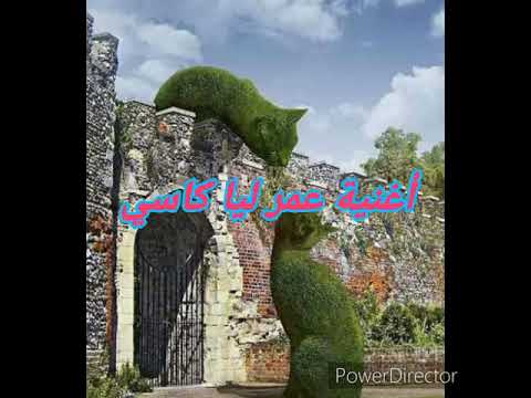 أغنية عمر ليا كاسي عزيز الصويري