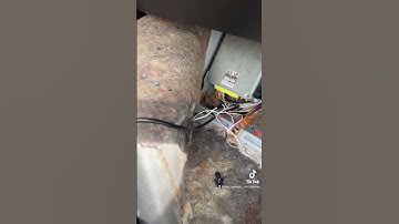 Fake Bee R 2 step pt1