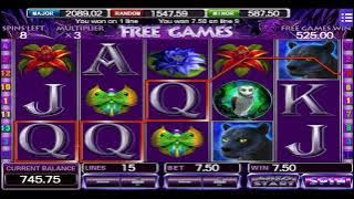 Mega Big Win 🥳(Panther Moon)