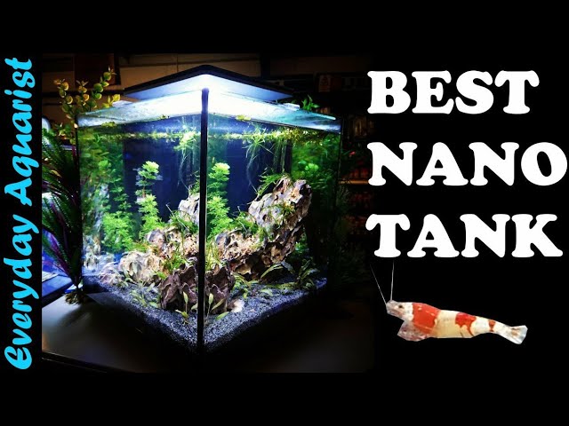 sengetøj . interview This Is My Favorite Cheap Nano Shrimp Aquascape Tank | Superfish QubiQ 30  Nano Aquarium LED Review - YouTube