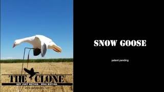 Clone Decoys Snow Goose