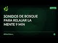 Libera el estrés del día con Sonidos de bosque • 9 min de calma