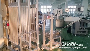One Blades Paper Straw Machine —12mm testing