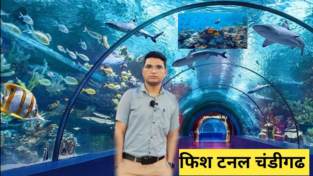 Chandigarh aquarium // underwater fish tunnel in chandigarh // fish