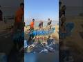 ஏன் இப்படி Fuel-ஐ கீழே ஊற்றுகிறார்கள் !!