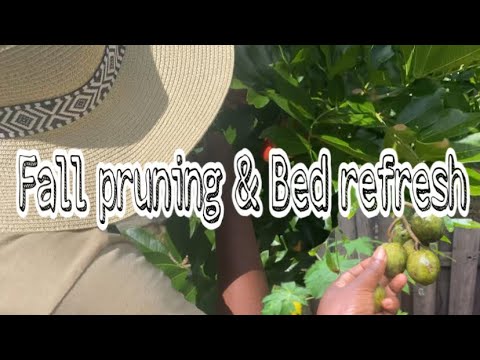 Fall Garden Prep | Raised Bed + Tree Pruning - YouTube