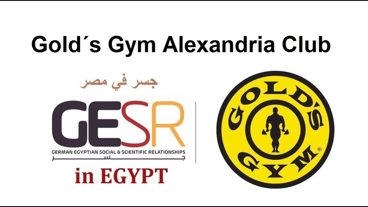 GESR in Egypt Gold´s Gym Alexandria (Smouha) YouTube