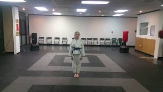 Kata Pinan 1 (Universal Karate Do)