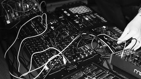 Toraiz Squid & AS-1 quick look