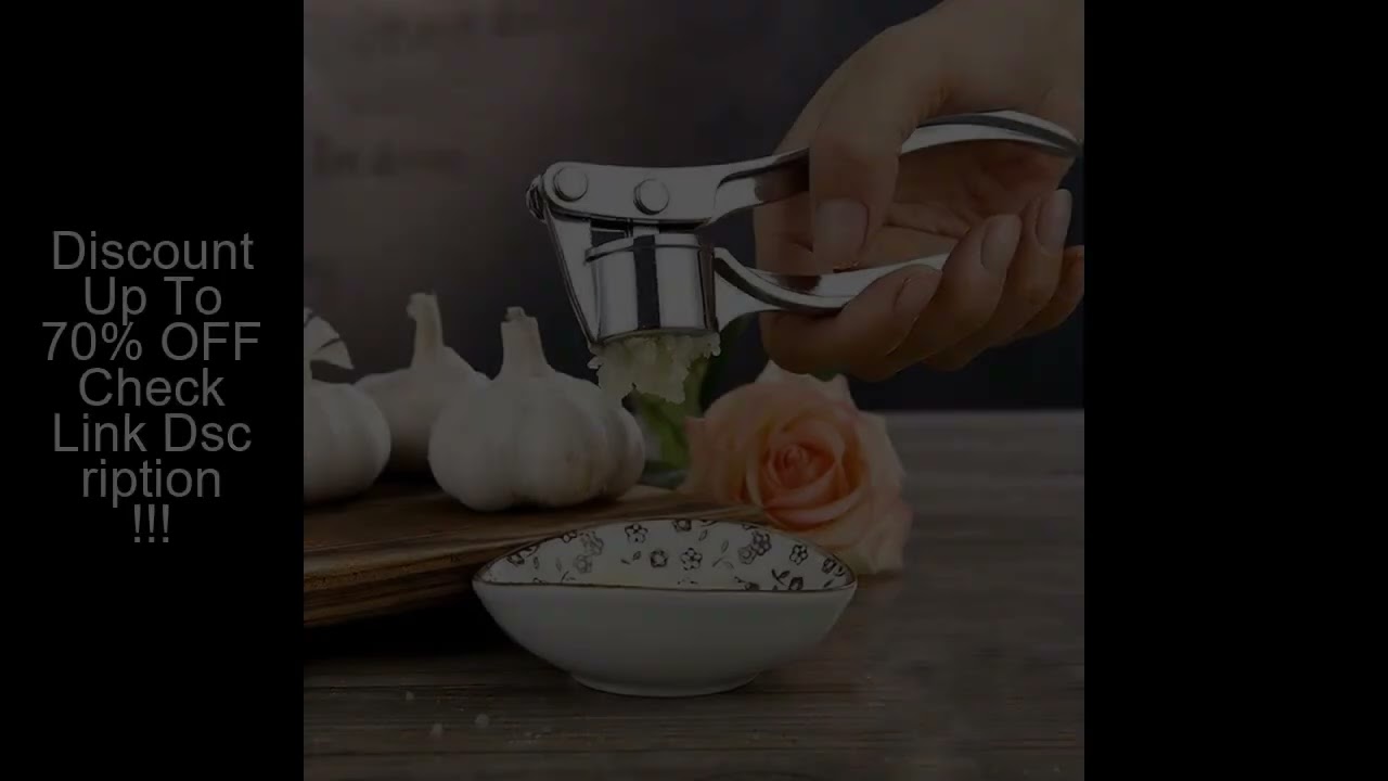 Kitchen Gadgets Garlic Press Stainless Steel Garlic Mincer Garlic Peeler and Cleaning Brush Ginger P