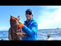 Fishing in Sitka Alaska for King Salmon, Halibut, and Ling Cod - (By Captain Cody)