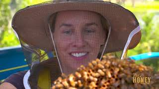 The Life of a Beekeeper - Saving Thousands of Bees During a Removal  | For the Love of Honey