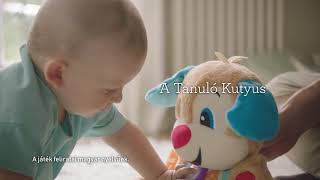 Tanuló Kutyus