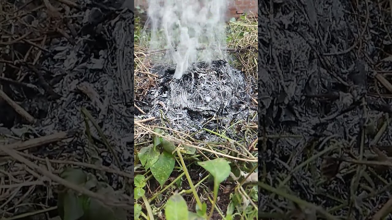 Burning Leaves and Grass: Smoke Close Up​