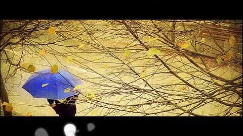 [ Kara + Vietsub ] Có khi nào rời xa - Tiên Cookie - Eng Ver.