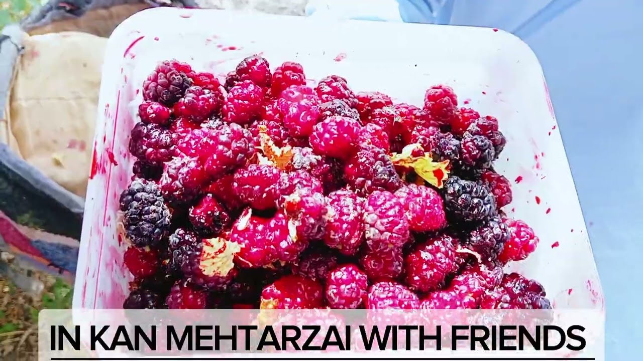 picnic point in kan Mehtarzai with friends 