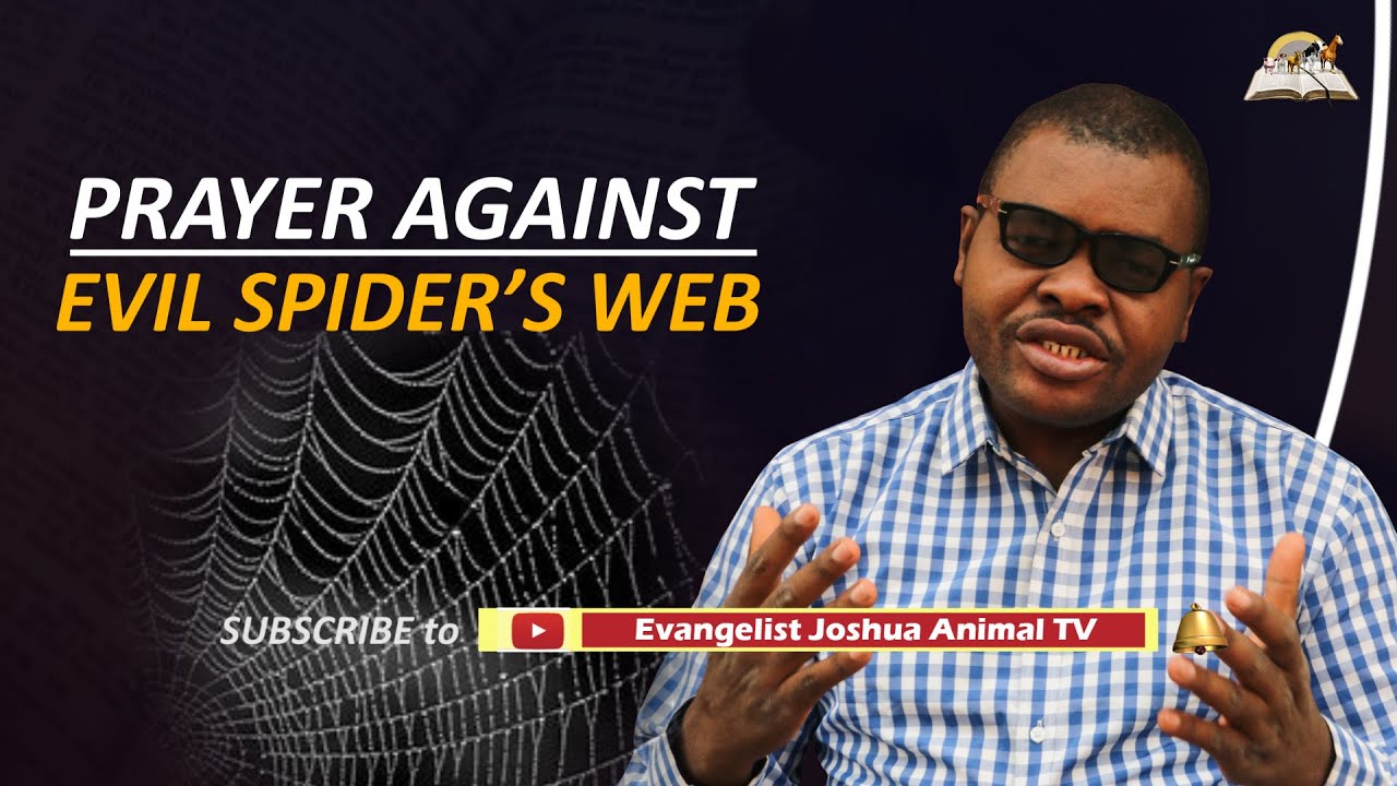 Prayer Against Evil Spiders Web -  Dreams Deliverance Prayers