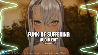 funk of suffering - tik tok remix (audio edit) Resimi