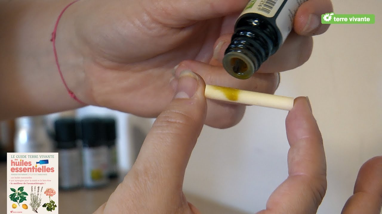 Bien Utiliser Les Huiles Essentielles Le Guide Terre Vivante Des