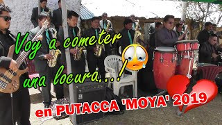 ????SÚPER SENSACIÓN DEL PERÚ 2019 'MIX PARRANDAS' Fiesta en Honor a Fray Martín de Porres PUTACCA MOYA