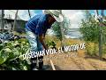 Cosechar vida: El motor de nuestros agricultores - TvAgro por Juan Gonzalo Angel