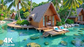 Tropical Summer Lounge Ambience - Positive Morning Piano Music🌊Soft Piano Background Music for Work screenshot 2