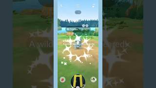 I Caught a hundo and a SHUNDO Frigibax on Community day in Pokemon GO #shorts