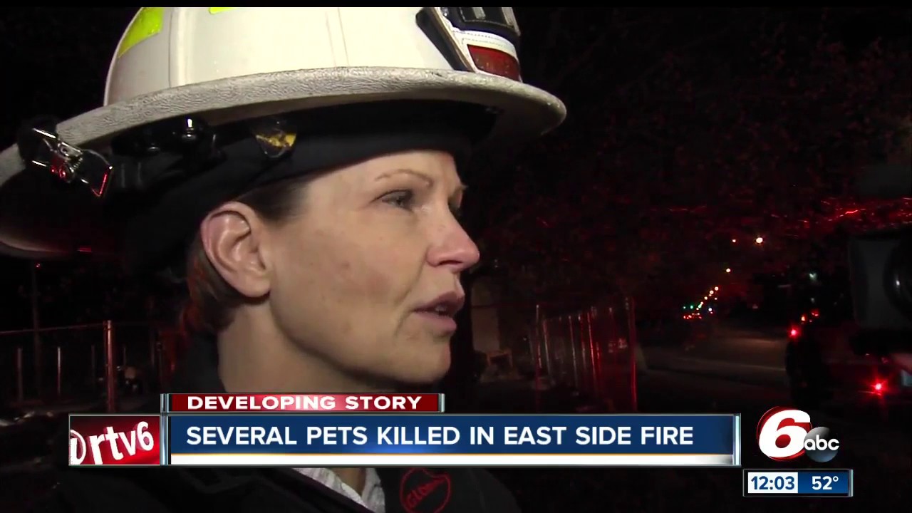 Firefighters use pet oxygen masks after house fire