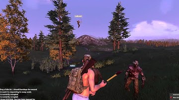 H1Z1 connection fail.