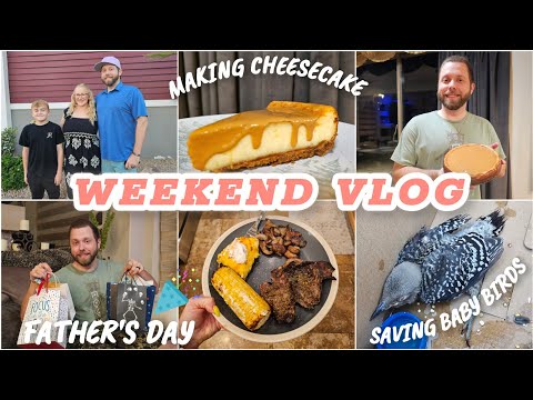 Father’s Day Family Vlog 🍰 Homemade Cheesecake Recipe | Rescuing Baby Birds