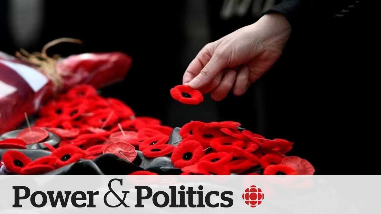 Many Canadians know more about U.S. military history than their very own: poll