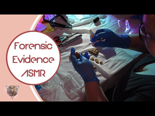 * ASMR *  Christmas Forensic Evidence Inspection / No Talking / 1 hour / Unintentional / Lab tests