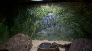 Snake Tank With Hygger UVB Light Set Up - Snake Approved!