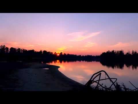 Видео Наоборот ЖЕЛЕЙНЫЙ МЕДВЕДЬ ВАЛЕРА И ГРУСТНЫЙ КОНЕЦ ЛЕТА