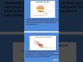 Routes of drug administration in animals #pharmcology