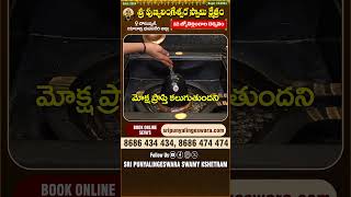 శ్రీ పుణ్యలింగేశ్వర స్వామి క్షేత్రం.. కాశీవిశ్వనాథ జ్యోతిర్లింగం జలాభిషేకానికి బుకింగ్ చేసుకోగలరు|V6