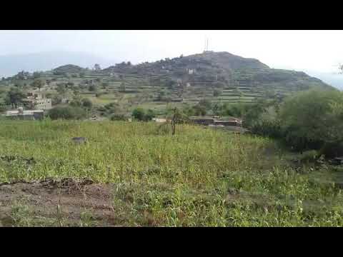 تلاوة شيقة بصوت شجي للطالب نجيب محفوظ 