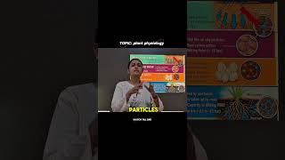 Plant physiology made easy. #biologyshorts #12thbiology #marathieducation #boardexam