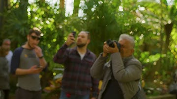 Shot on RED: Colors of nature