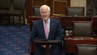 Cornyn: Texans Losing Access to Food Assistance, Telehealth due to the Schumer Shutdown