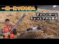 【狩猟】単独猟で雉に遭遇！静寂を破った瞬間､､､