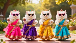 बलल क डस Cat Videos Funny Cat Dance Videos For Cats Billi Dance