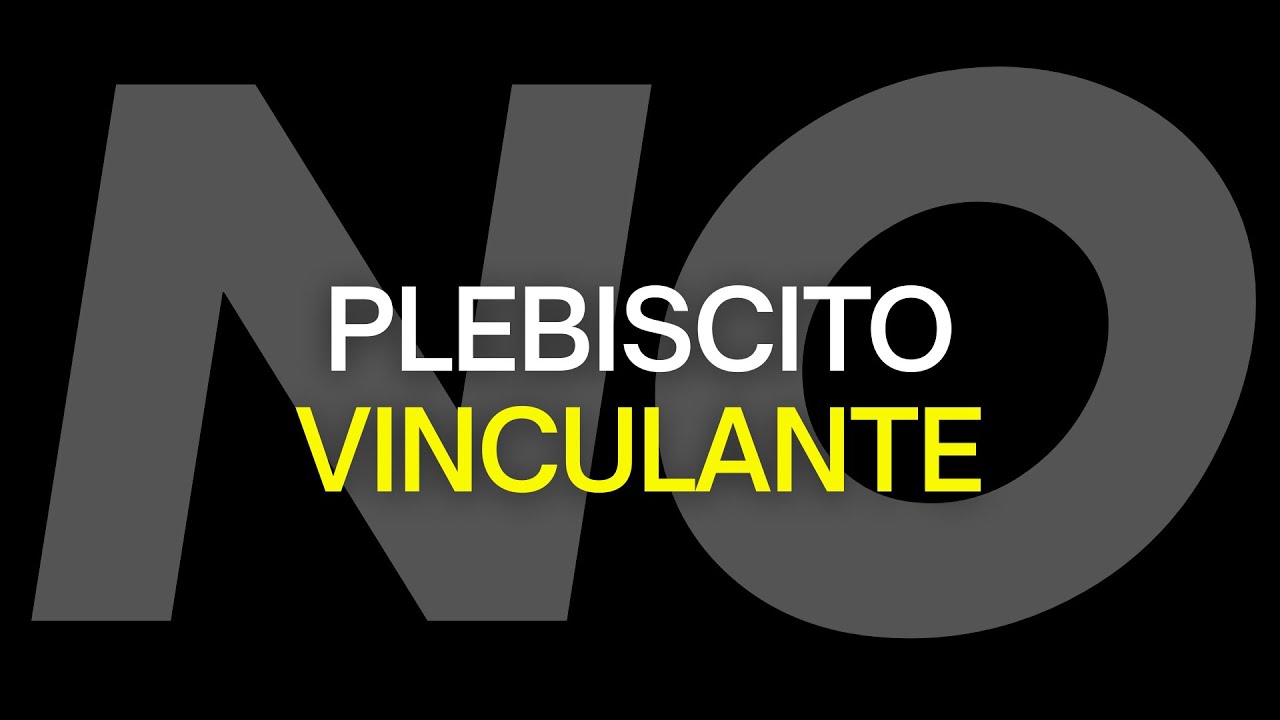 PLEBISCITO VINCULANTE, ¡NO!
