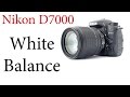 Nikon D7000: How to use Auto and Custom White Balance